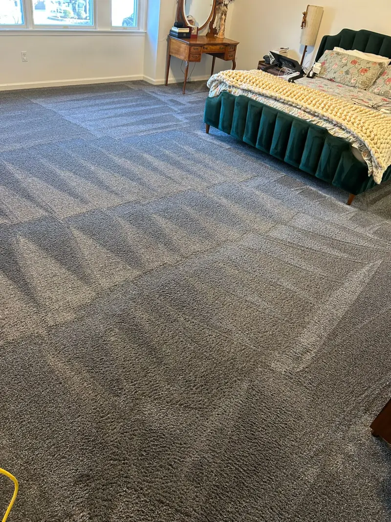 Wall to wall carpet with fresh cleaning lines in a bedroom