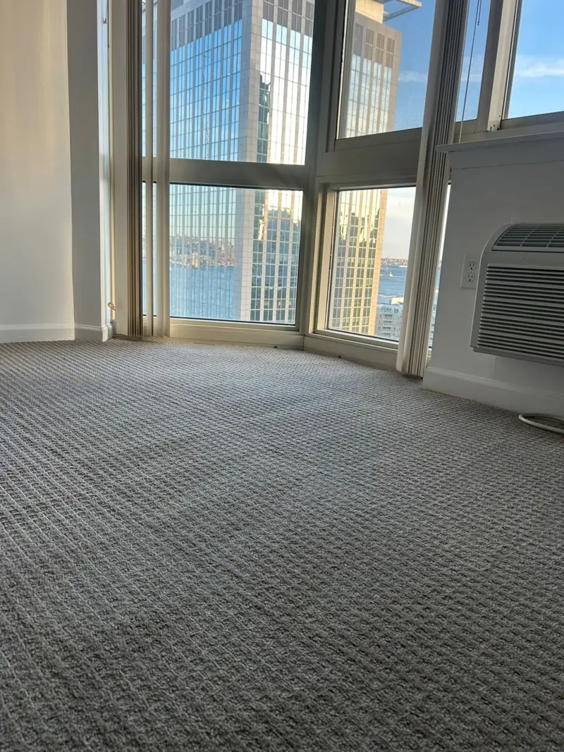 Wall to wall carpet with fresh cleaning lines beside tall windows